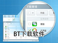 BT软件